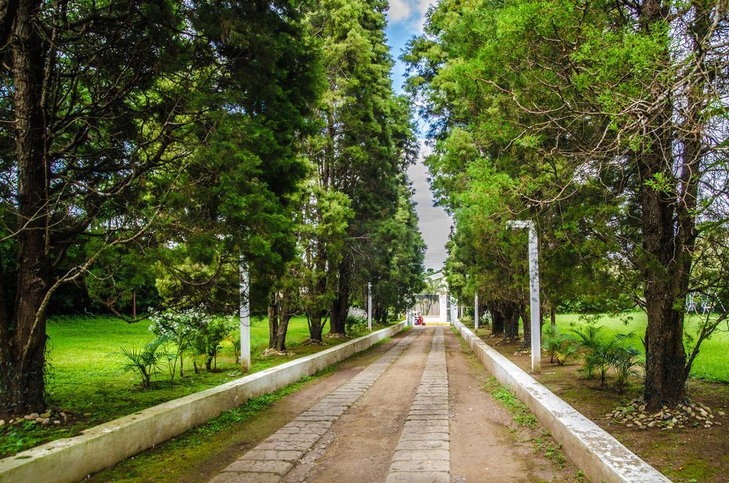 San Marcos Hotel Boutique Hacienda San Pedro المظهر الخارجي الصورة